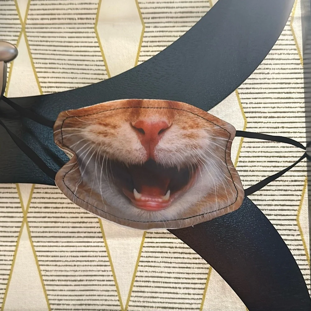 Orange Cat FACE MASK Reusable Washable Unisex Face Cover. Unused.